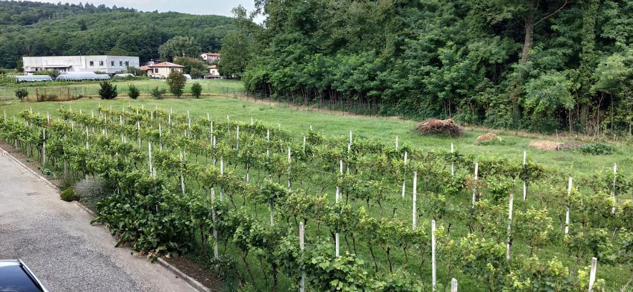 Da Terry Bed & Breakfast Vergiate Dış mekan fotoğraf